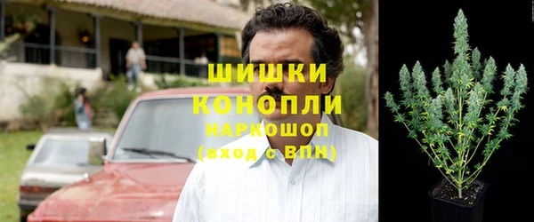 твердый Горняк