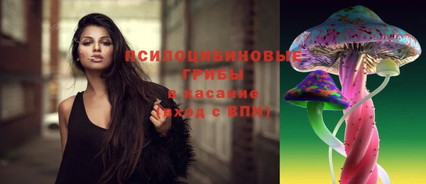 твердый Горняк