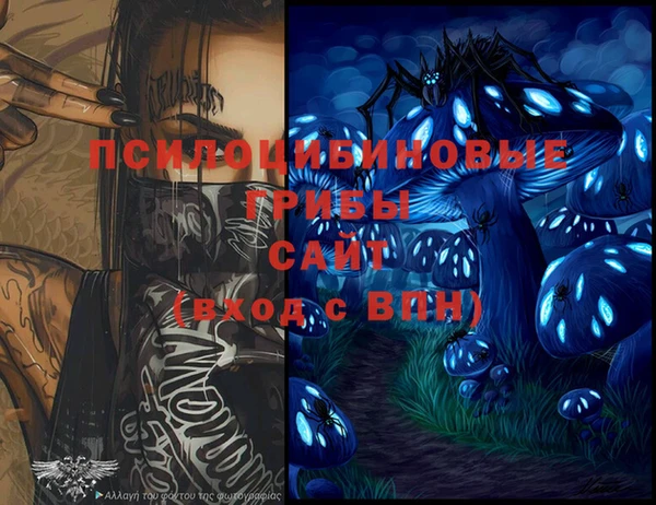 твердый Горняк
