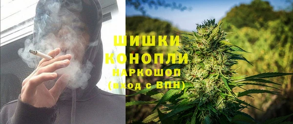 твердый Горняк