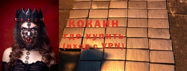 твердый Горняк