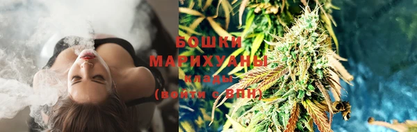 твердый Горняк